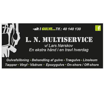 L. N. Multiservice