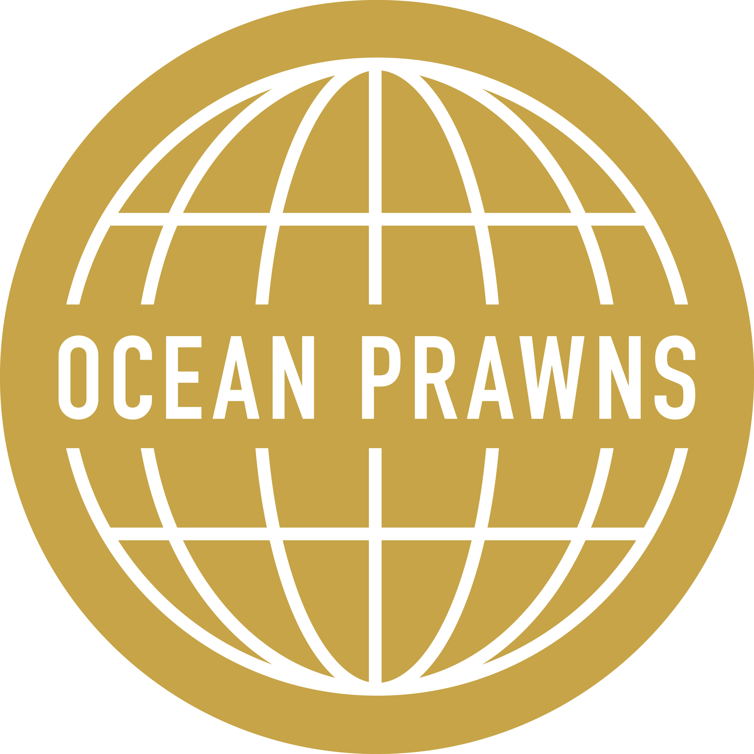 Ocean-Prawns